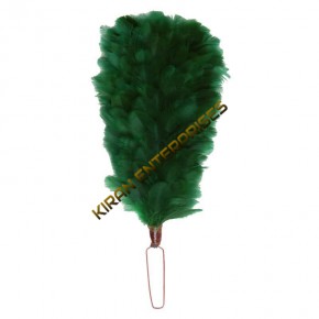 Palm/Feather